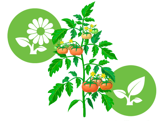 greenplanet plant additives